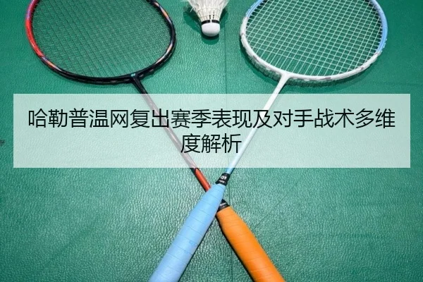 哈勒普温网复出赛季表现及对手战术多维度解析